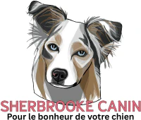 Sherbrooke Canin